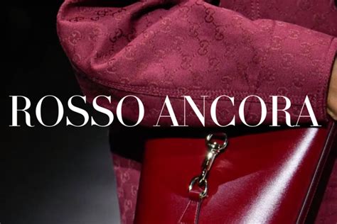 zwartenpietentrui gucci|gucci rosso ancora.